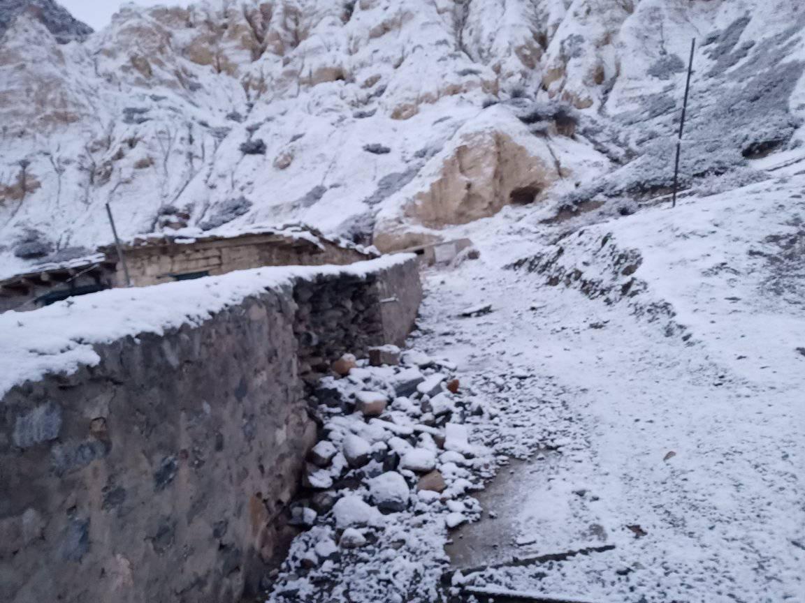 Mardi News